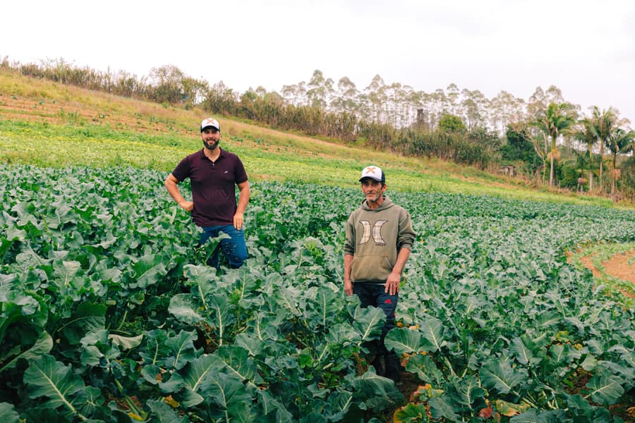 Pequenos produtores (agricultura familiar)